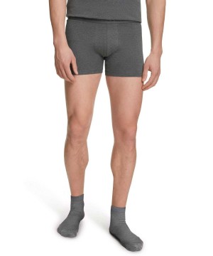 Falke 2-Pack Boxer Daily Comfort Boxer & Slips Heren Grijs | IGLJZP-715