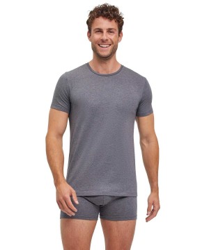Falke 2-Pack T-Shirt Round-neck Daily Comfort Overhemd Met Korte Mouwen Heren Grijs | XNDLFU-397