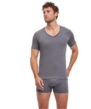Falke 2-Pack T-Shirt V-neck Daily Comfort Overhemd Met Korte Mouwen Heren Grijs | RIUKPC-197