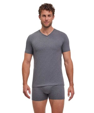 Falke 2-Pack T-Shirt V-neck Daily Comfort Overhemd Met Korte Mouwen Heren Grijs | UGKBYQ-160