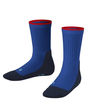 Falke Active Everyday Socks Sokken Kinderen Blauw | LWBTIE-891