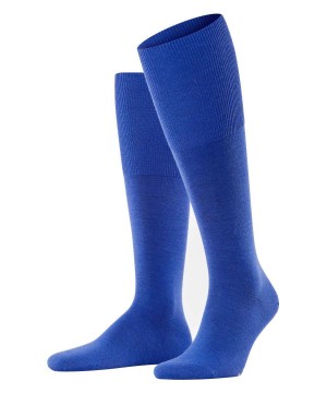 Falke Airport Knee-high Socks Sokken Heren Blauw | BFIEML-270