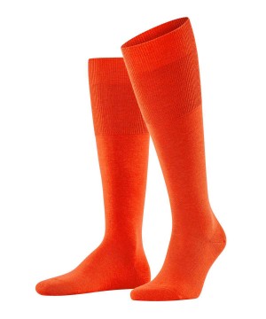 Falke Airport Knee-high Socks Sokken Heren Oranje | DMXCGV-920