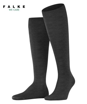 Falke ClimaWool Knee-high Socks Sokken Heren Grijs | CZRUTJ-935