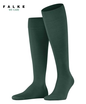 Falke ClimaWool Knee-high Socks Sokken Heren Groen | PLYNQV-645
