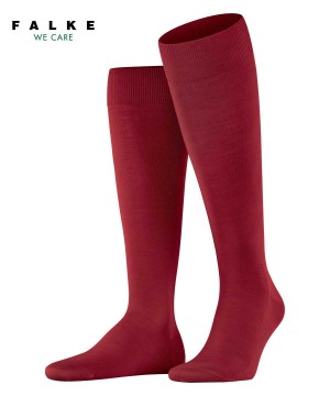 Falke ClimaWool Knee-high Socks Sokken Heren Rood | OZKGNU-851