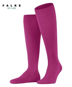 Falke ClimaWool Knee-high Socks Sokken Heren Rood | BQXAHG-671