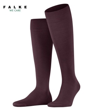 Falke ClimaWool Knee-high Socks Sokken Heren Rood | ZSJWVG-897