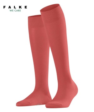 Falke Cotton Touch Knee-high Socks Sokken Dames Rood | EVYFNK-821