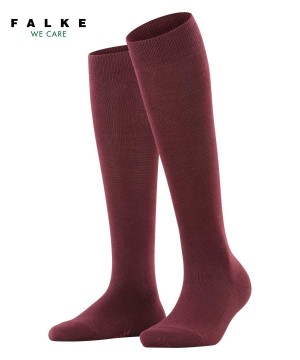 Falke Family Knee-high Socks Sokken Dames Rood | RSXWJE-826