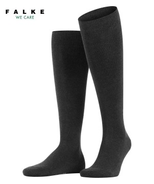 Falke Family Knee-high Socks Sokken Heren Grijs | TCYMIR-459