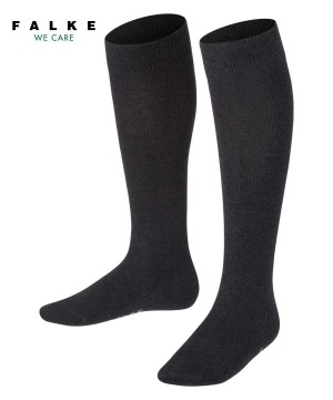 Falke Family Knee-high Socks Sokken Kinderen Grijs | TYNRSC-786