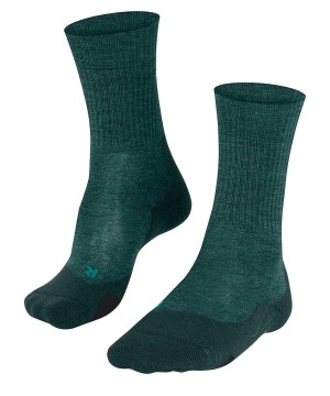 Falke TK2 Explore Wool Trekking Socks Sokken Heren Groen | RYVPMW-509